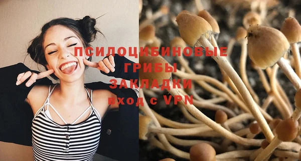 кокаин Алексеевка