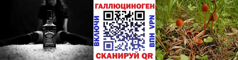 Галлюциногенные грибы GOLDEN TEACHER  даркнет Telegram  Алексеевка 